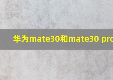 华为mate30和mate30 pro对比